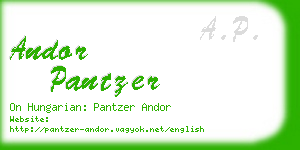 andor pantzer business card